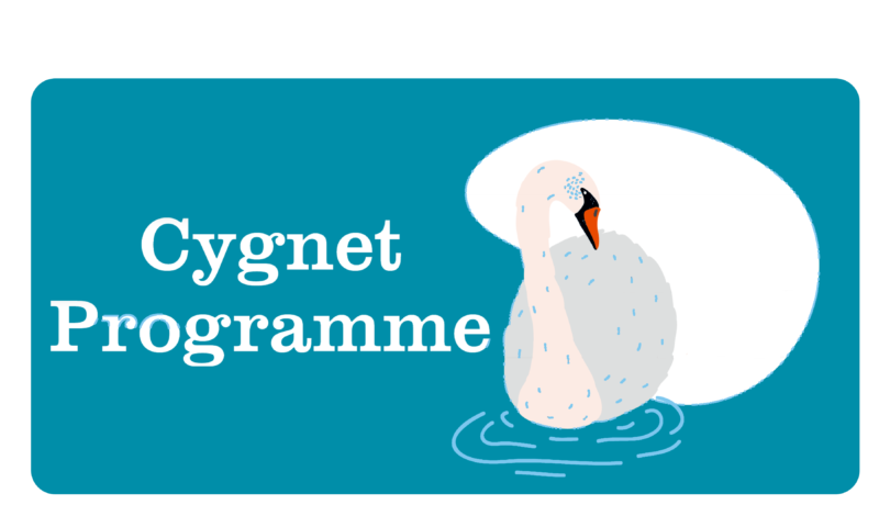 Barnardo’s – Bradford Parenting Cygnet Service