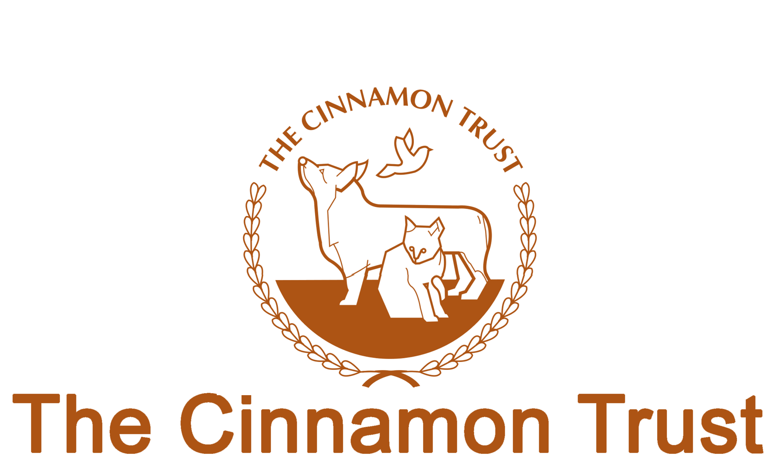 The Cinnanoe Leak: Scandal Rocks The Nation - g13935o