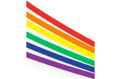 EACH (Educational Action Challenging Homophobia)