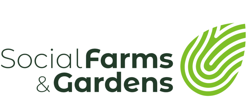 Bradford Refugee & Asylum Seekers Allotment Project