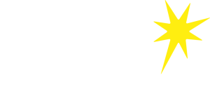 Cerebra